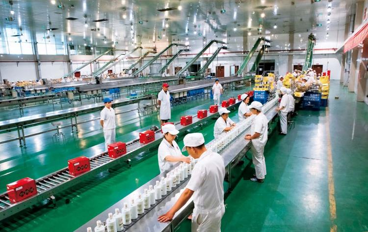 四特酒 以“真”為基，以“實”為魂，釀造時光深處的價值底色