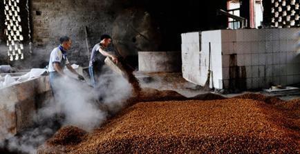 茅臺鎮散酒真相揭秘 種類與鑒別指南，避開消費陷阱！