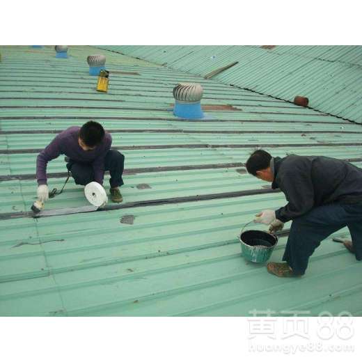 沙溪彩鋼瓦工程與網絡工程 傳統與現代的跨領域服務探索